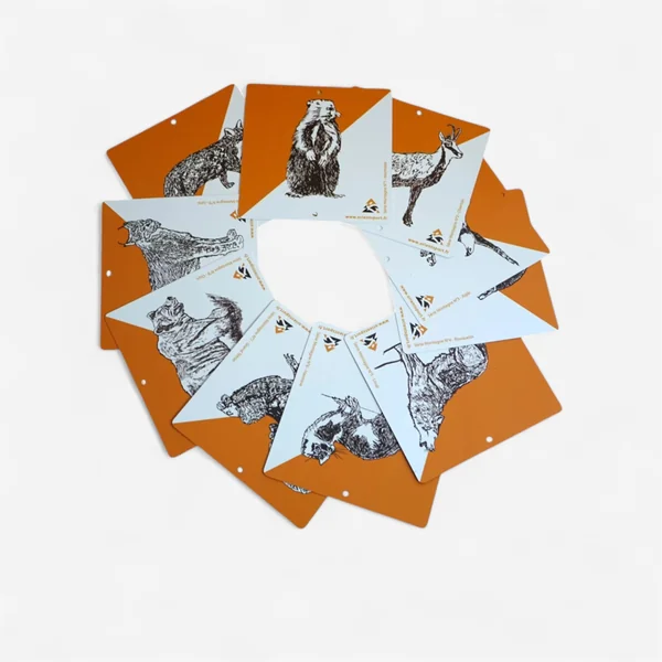 Balises et pinces de course d'orientatiion Animaux - Lot de 10