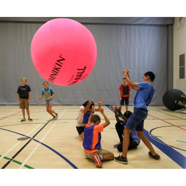 Ballon de kin-ball Omnikin 122 cm - Officiel Noir