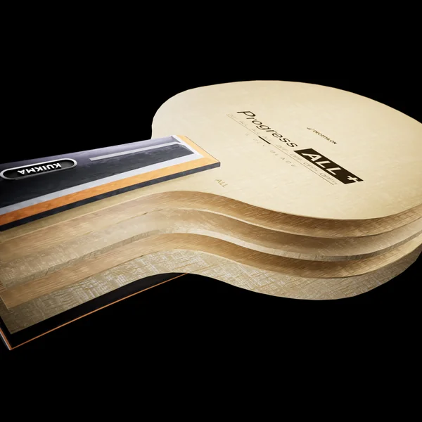 Bois de tennis de table TTW Progress ALL+