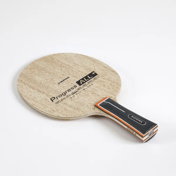 Bois de tennis de table TTW Progress ALL+