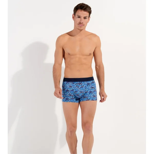 Boxer imprimé Vibe HO1 Bleu