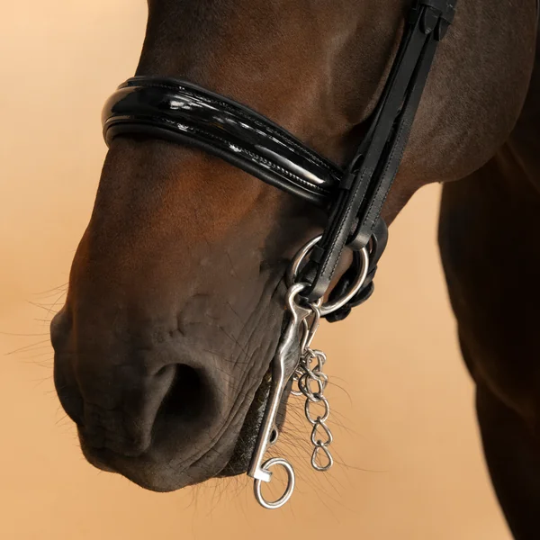 Bride de dressage équitation Cheval et Poney - 900 noire