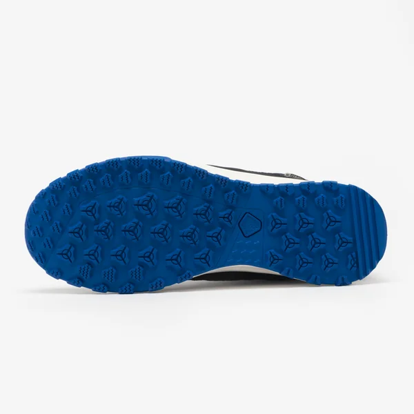 Chaussures de randonnée chaudes et imperméables homme, NH500 bleu
