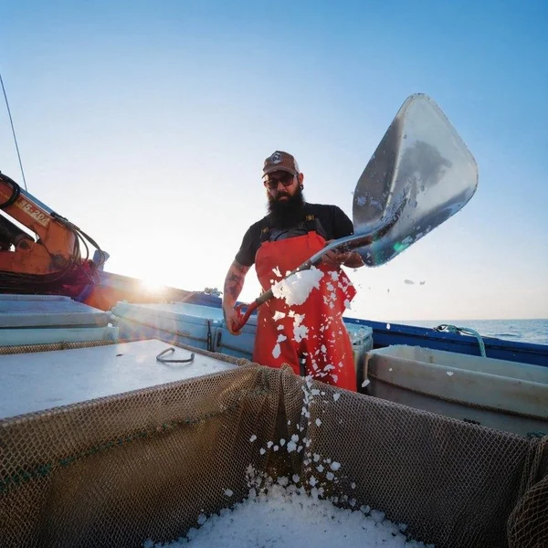 Cotte Réversible Barossa Fisher