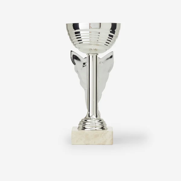 COUPE ARGENT/ BLEU 19 CM