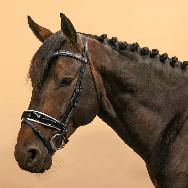 Filet de dressage équitation Cheval et Poney - 900 noir et blanc