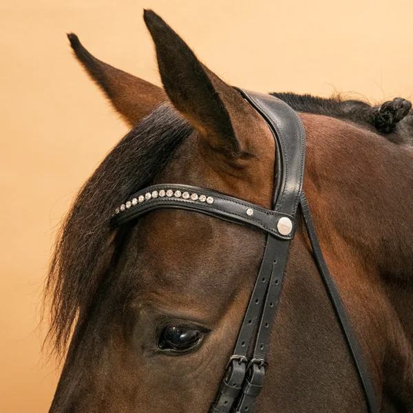 Filet de dressage équitation Cheval et Poney - 900 noir et blanc