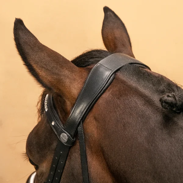 Filet de dressage équitation Cheval et Poney - 900 noir et blanc