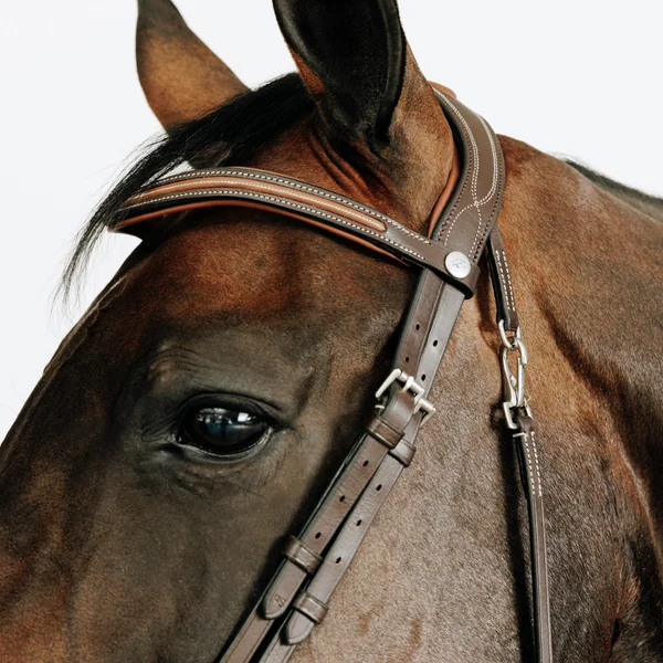 Filet équitation cuir muserolle française surpiqué cheval et poney - 580 marron