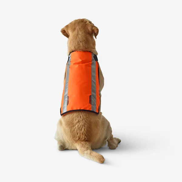 GILET CHIEN CHASSE ORANGE 100