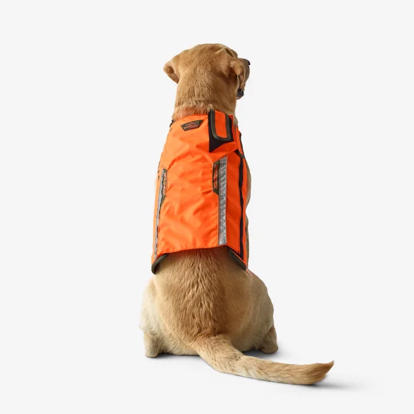 Gilet de protection pour chien Supertrack
