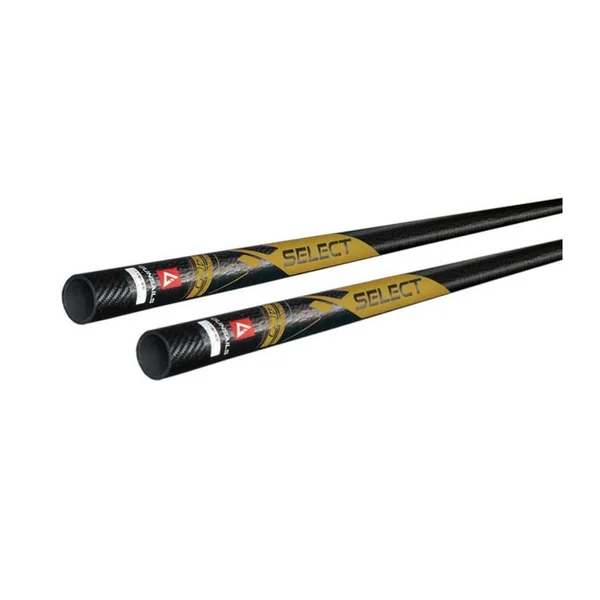 Mât Windsurf GUNSAILS Select RDM
