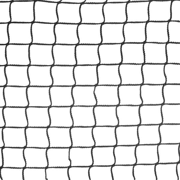 Pickleball Joola - Symmetry