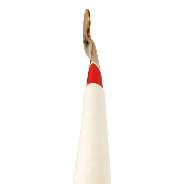 Stick de hockey indoor adulte expert Bois 30% carbone LB FH930W bois rouge