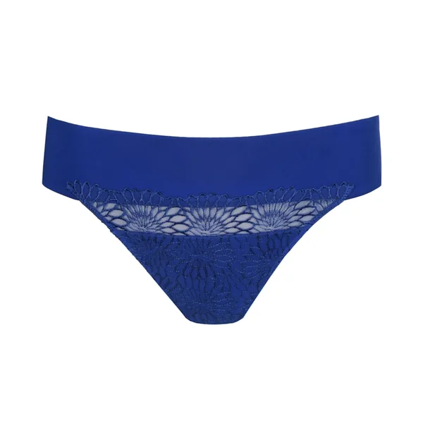 String Sophora Blue Print