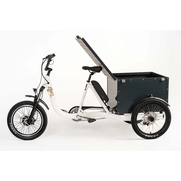 Tricycle électrique Worker BKL