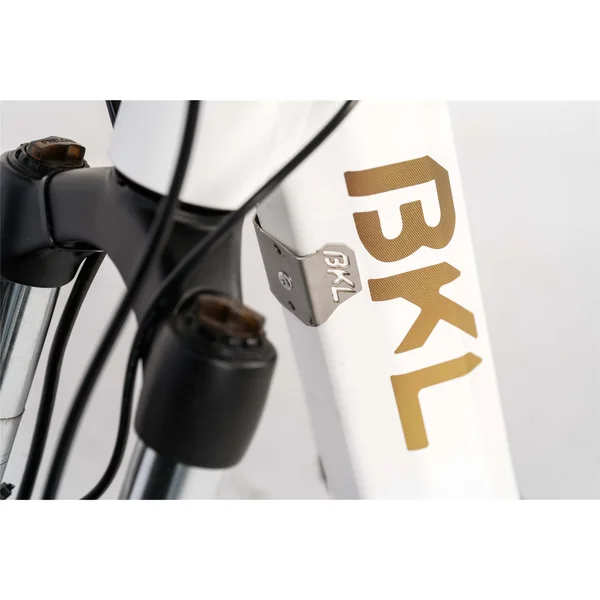 Tricycle électrique Worker BKL