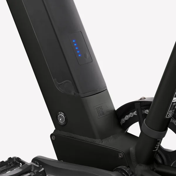 Vélo cargo électrique longtail chargement arrière R500E noir